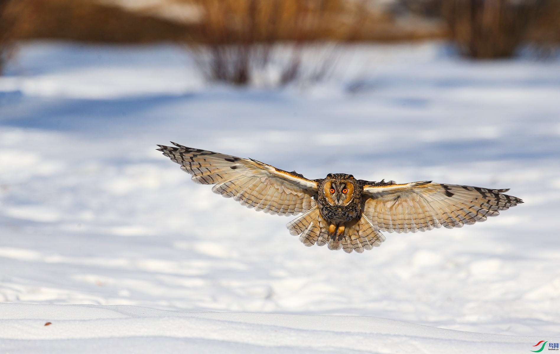 BE7W8892 - ����.JPG