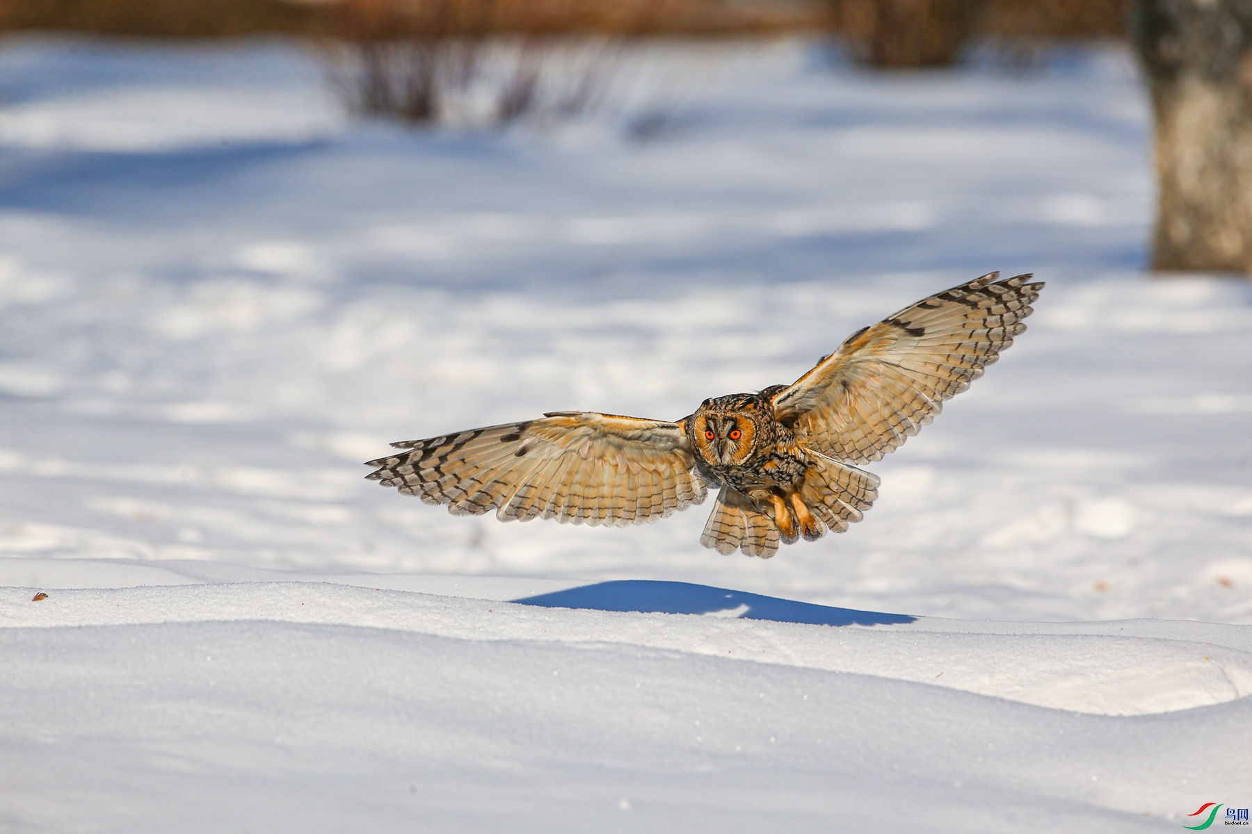 BE7W8896 - ����.JPG