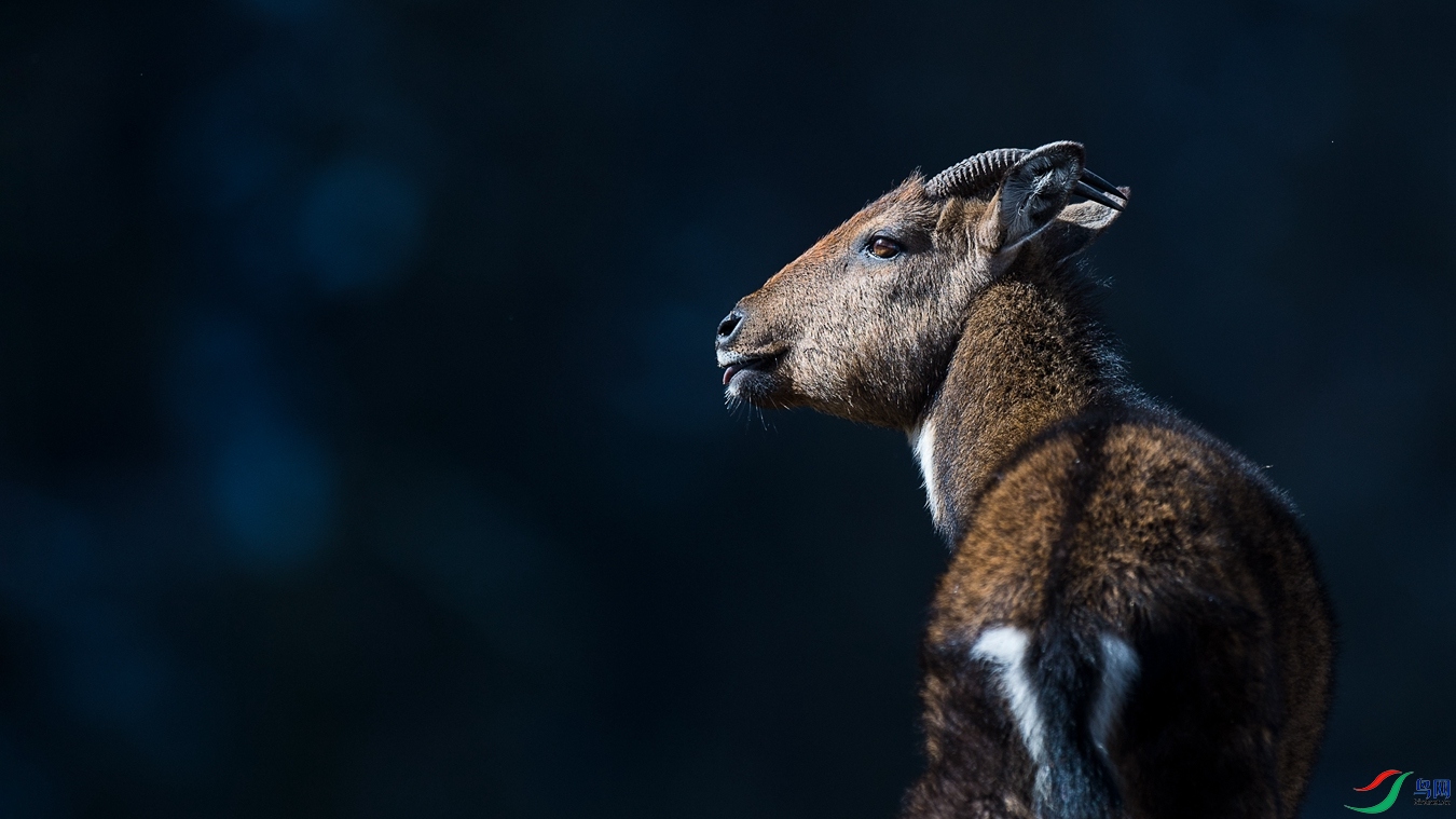 DSC_6660 - ����.jpg