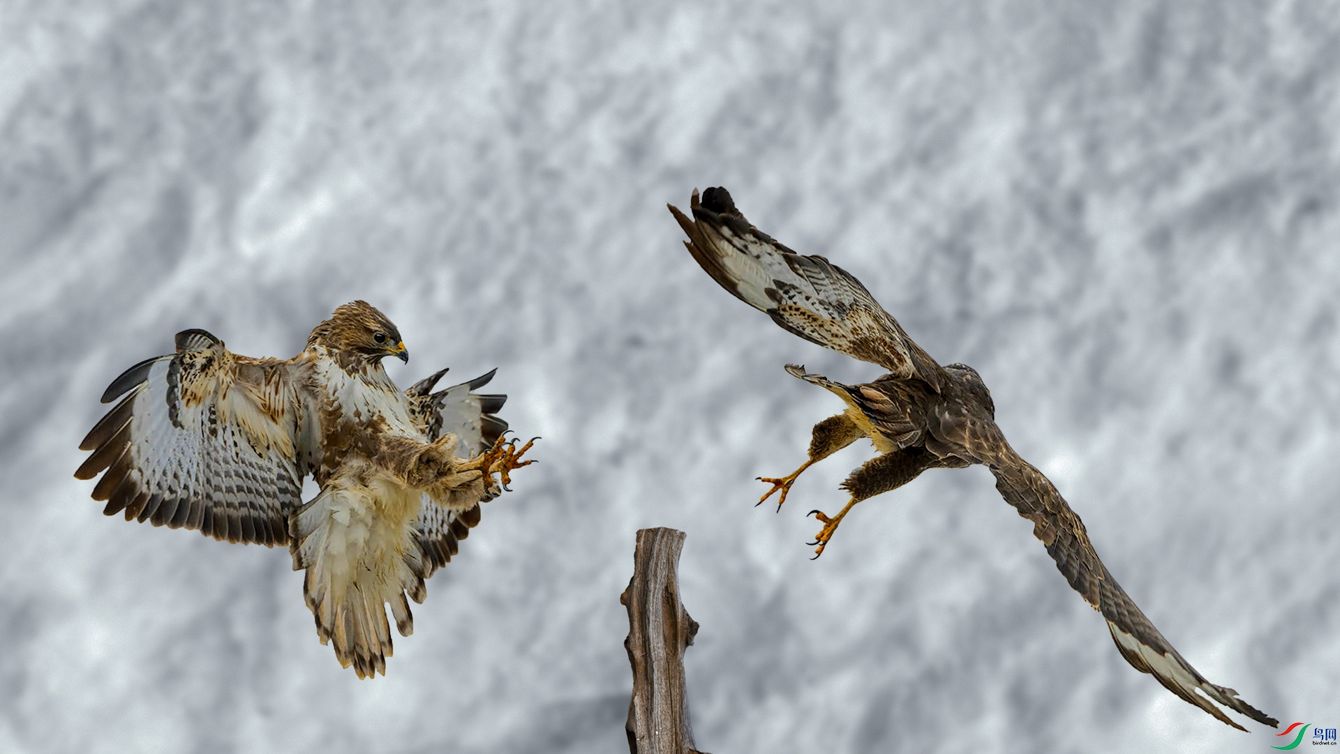 ���� 1920x500k.jpg