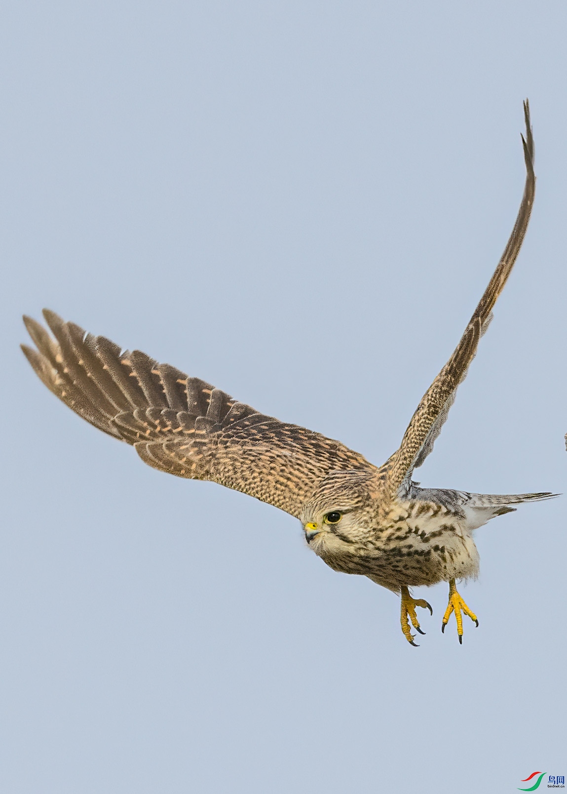 _W660340 ����.jpg