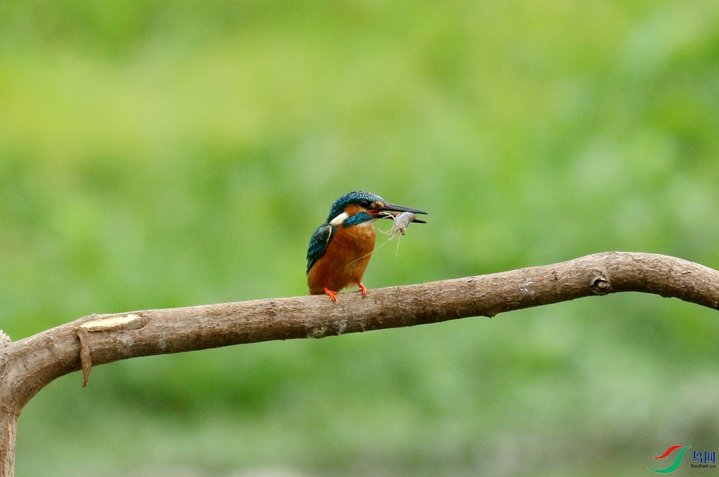 367A3102 (2)_����.jpg