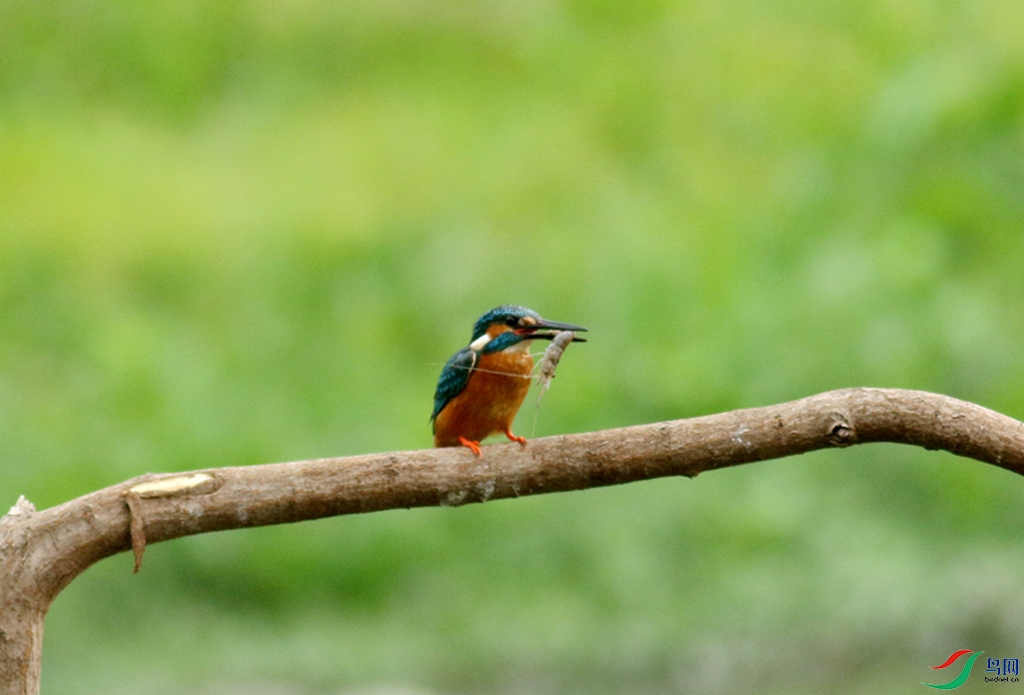 367A3111 (2)_����.jpg