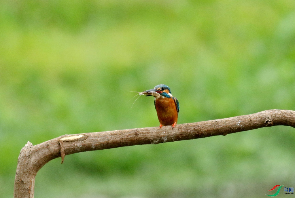 367A3115 (2)_����.jpg