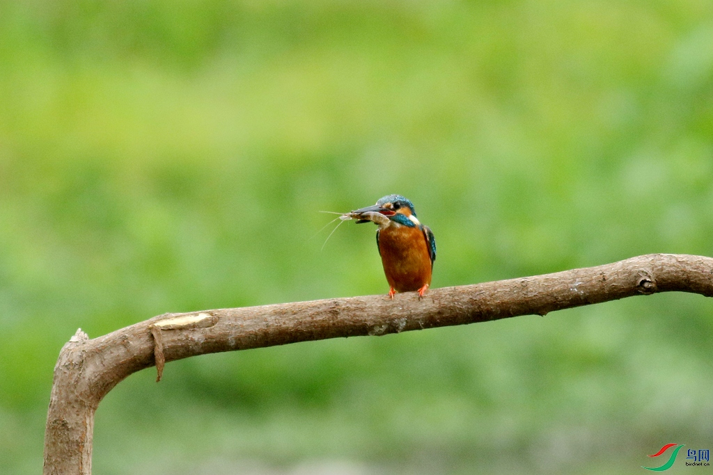 367A3116 (2)_����.jpg