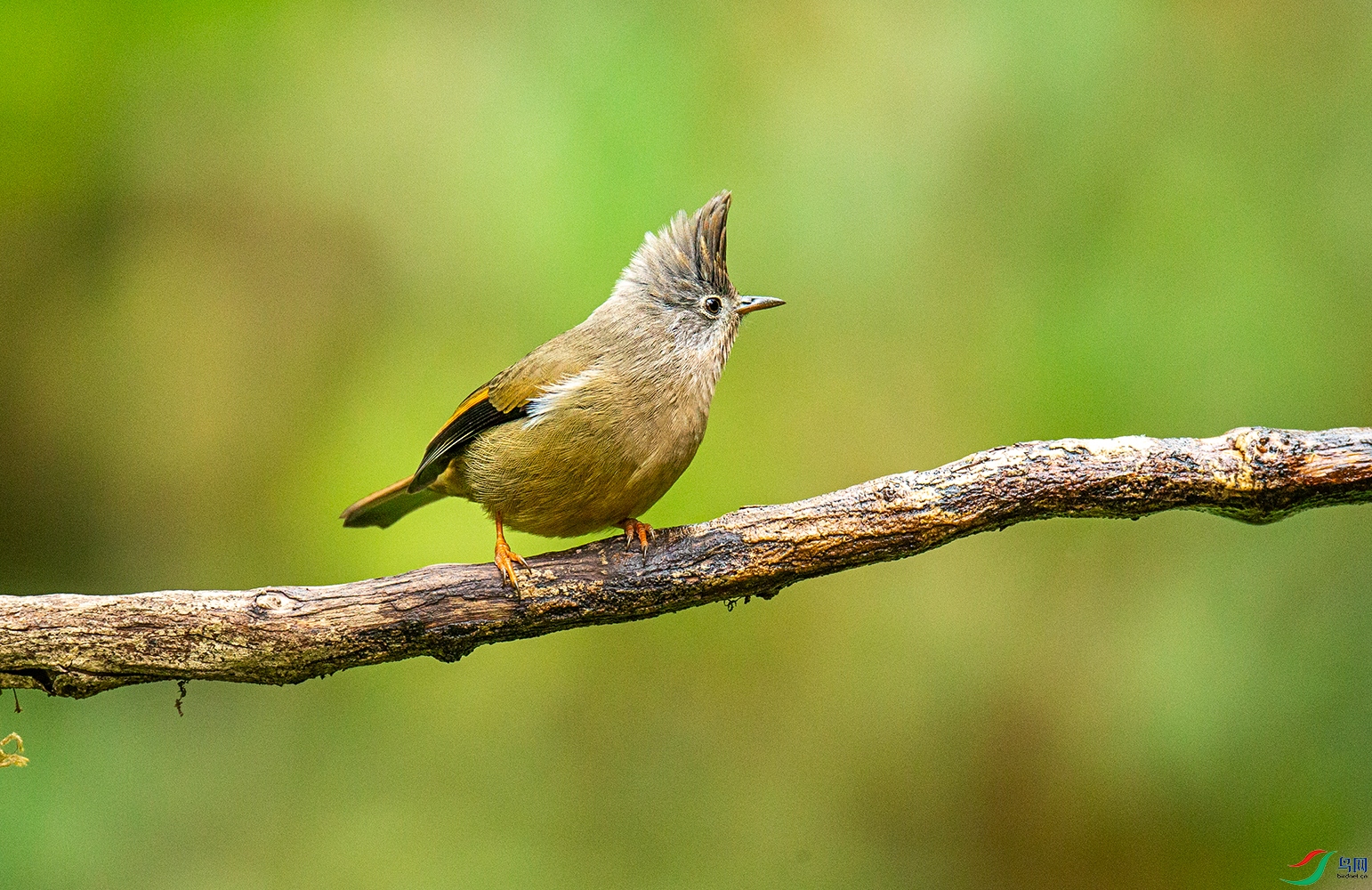 AB4O2365-1.jpg