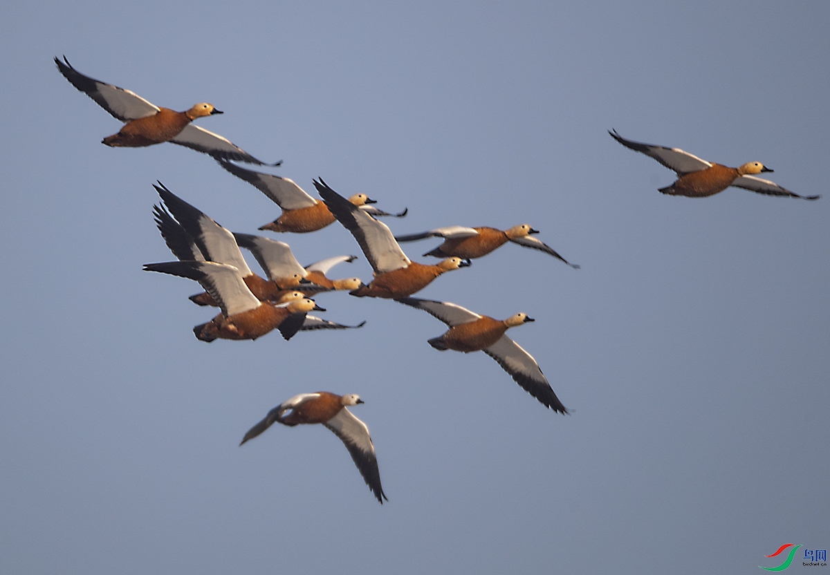 ����Ѽ���� ���1.jpg