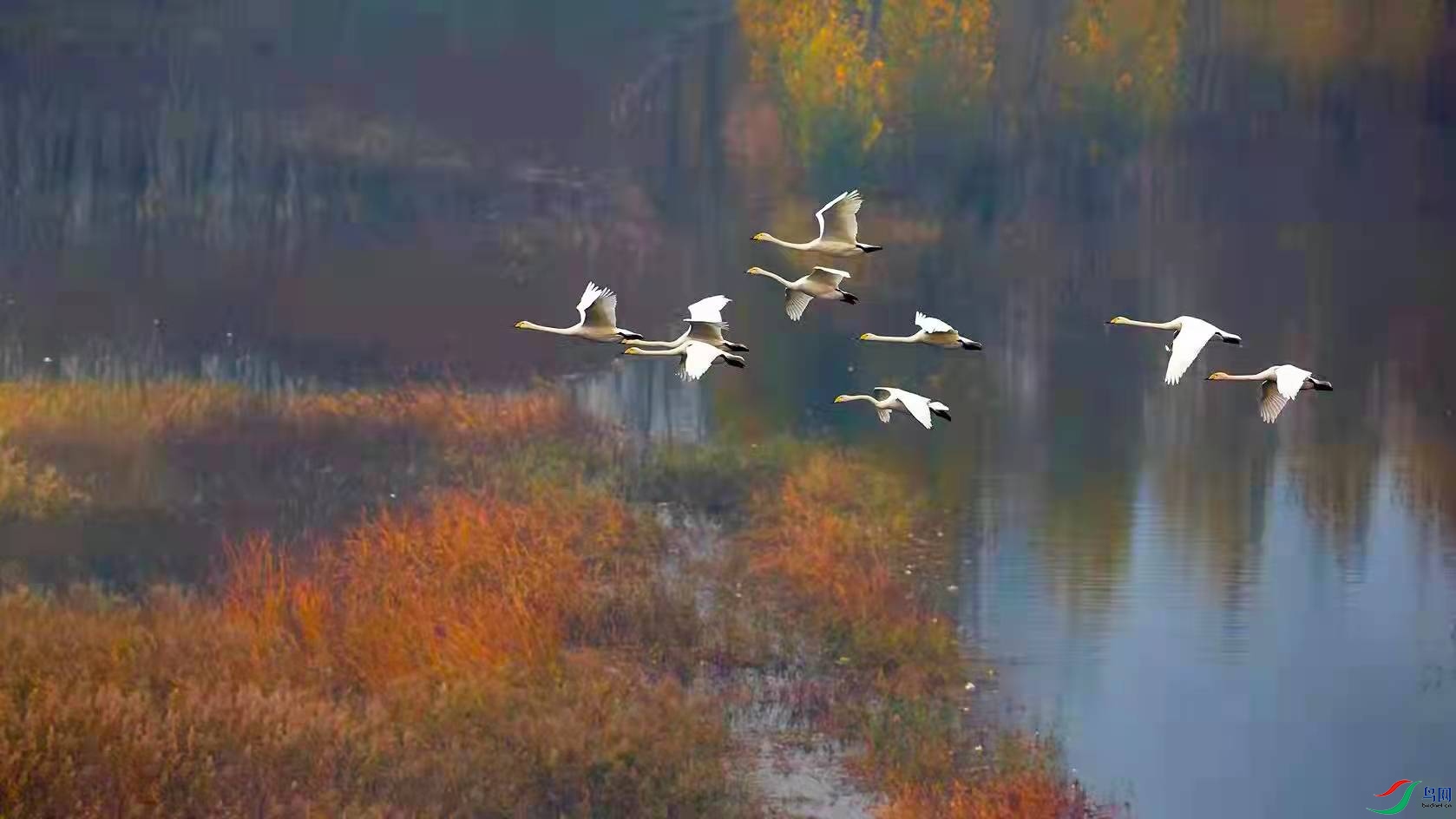 ΢��ͼƬ_20220116    ����.jpg