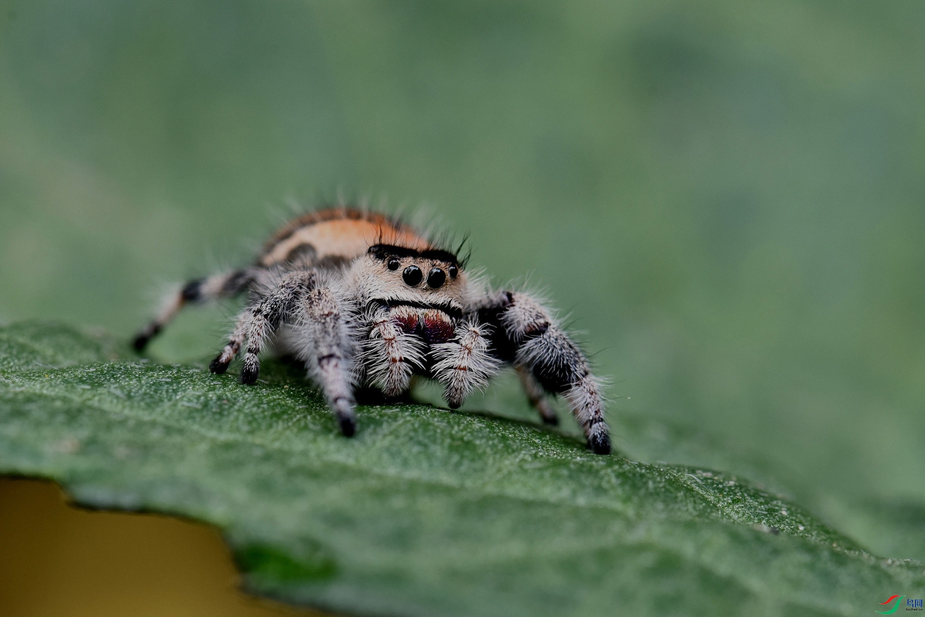 DSC_4297_����.jpg