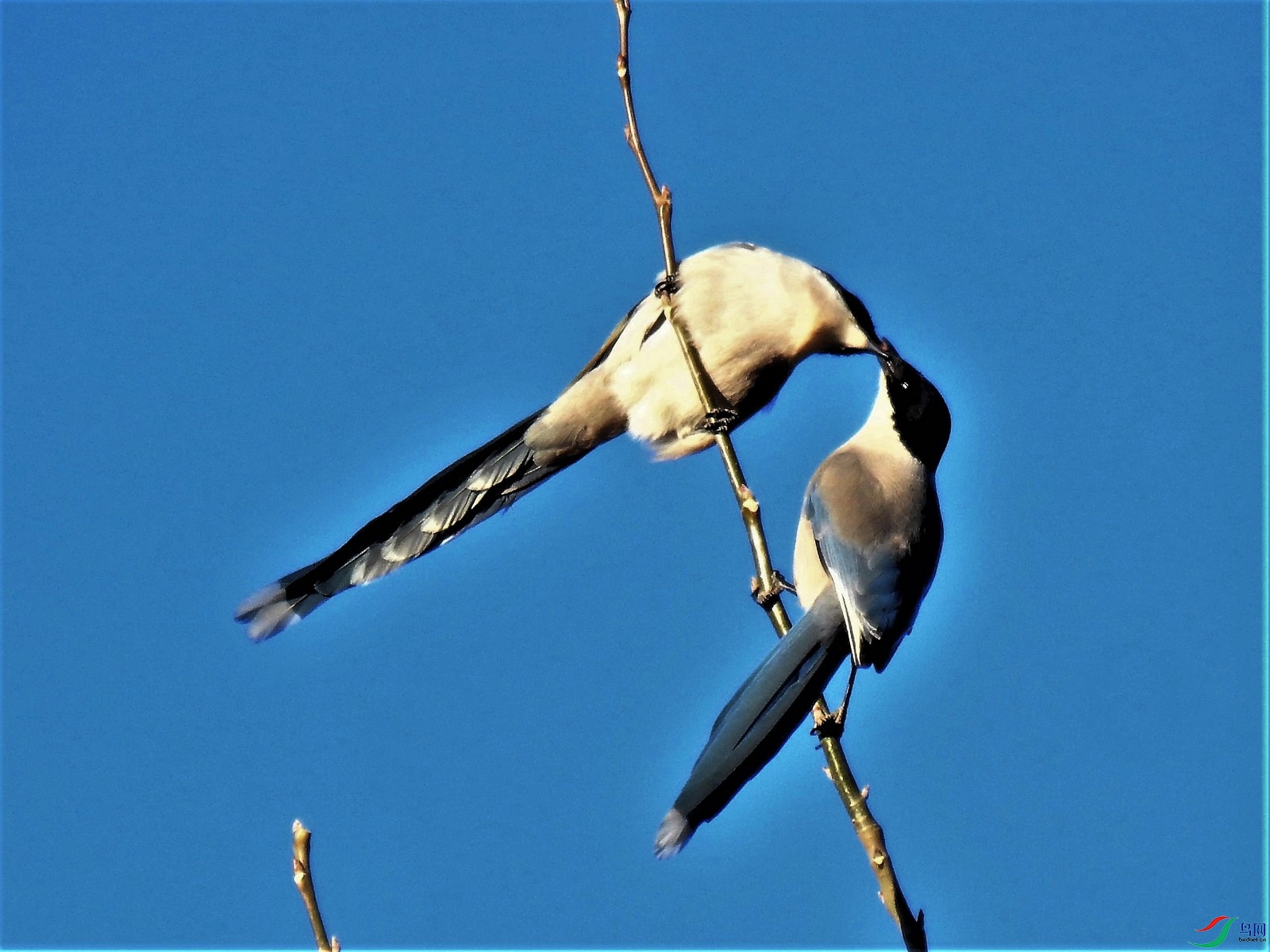 DSCN7862.JPG