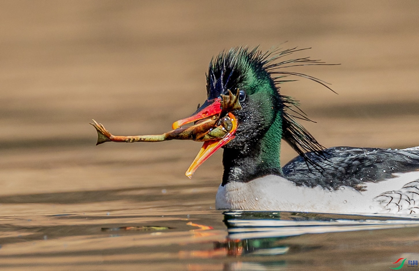 ���̻���