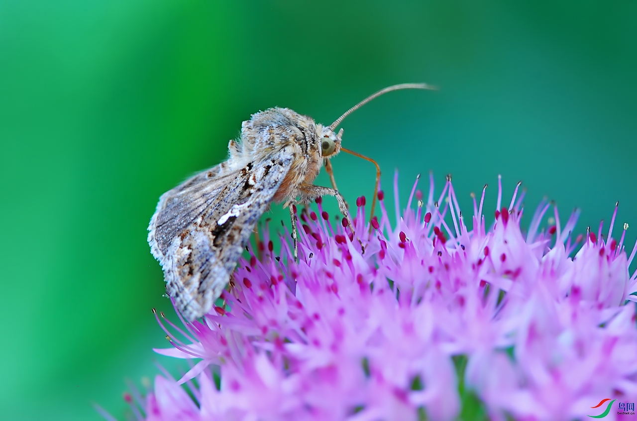 DSC_0192 ����.jpg