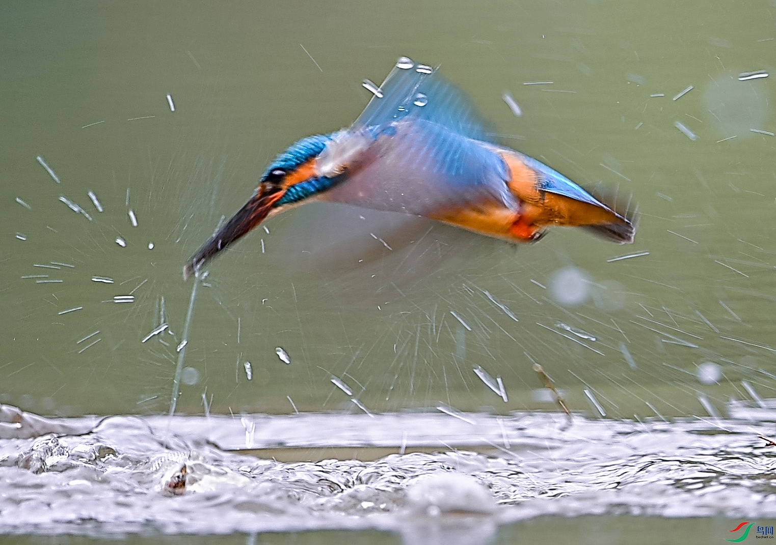 DSC_1368 ����.jpg