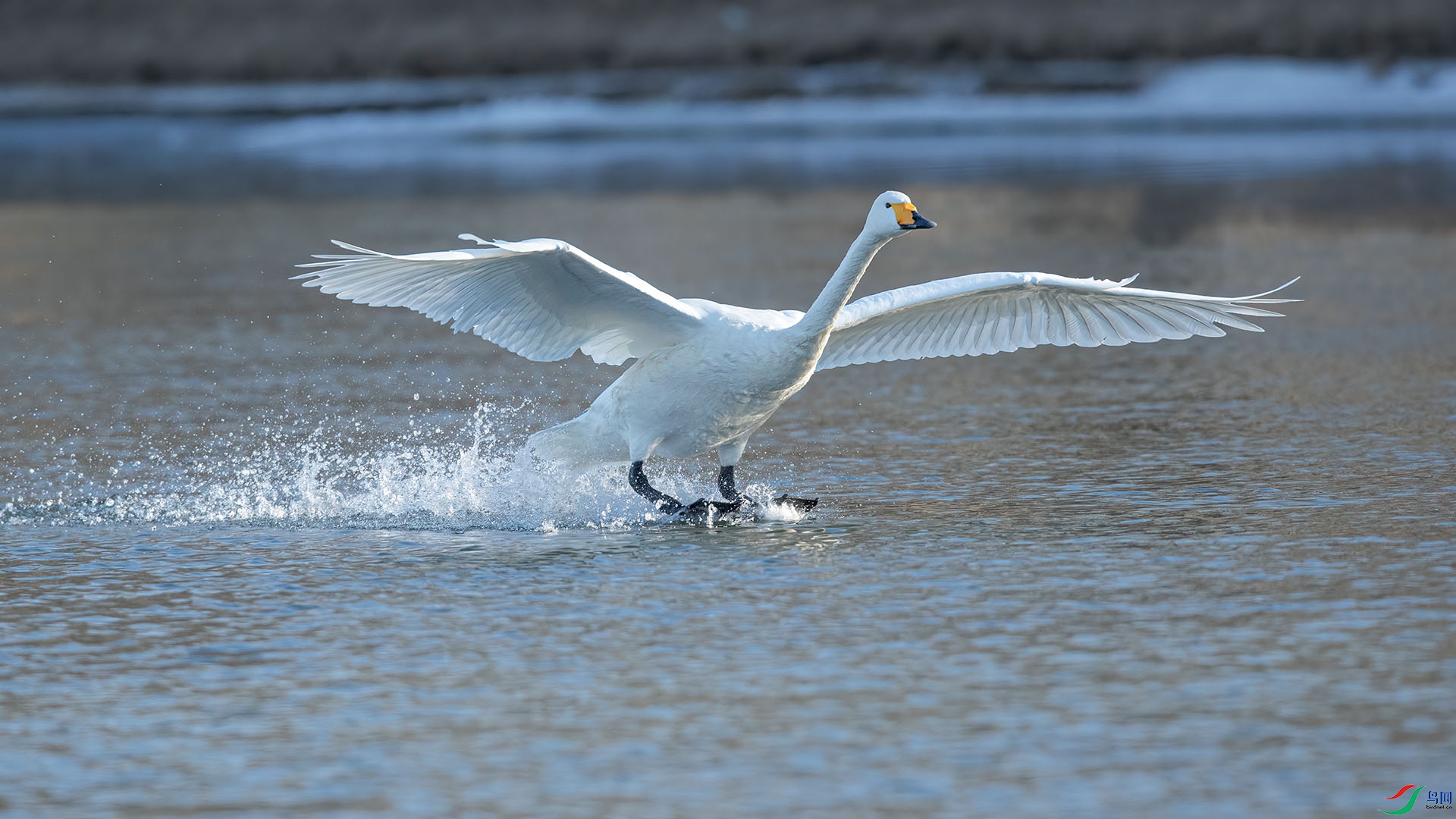 1DX_0571 ���� 2.jpg