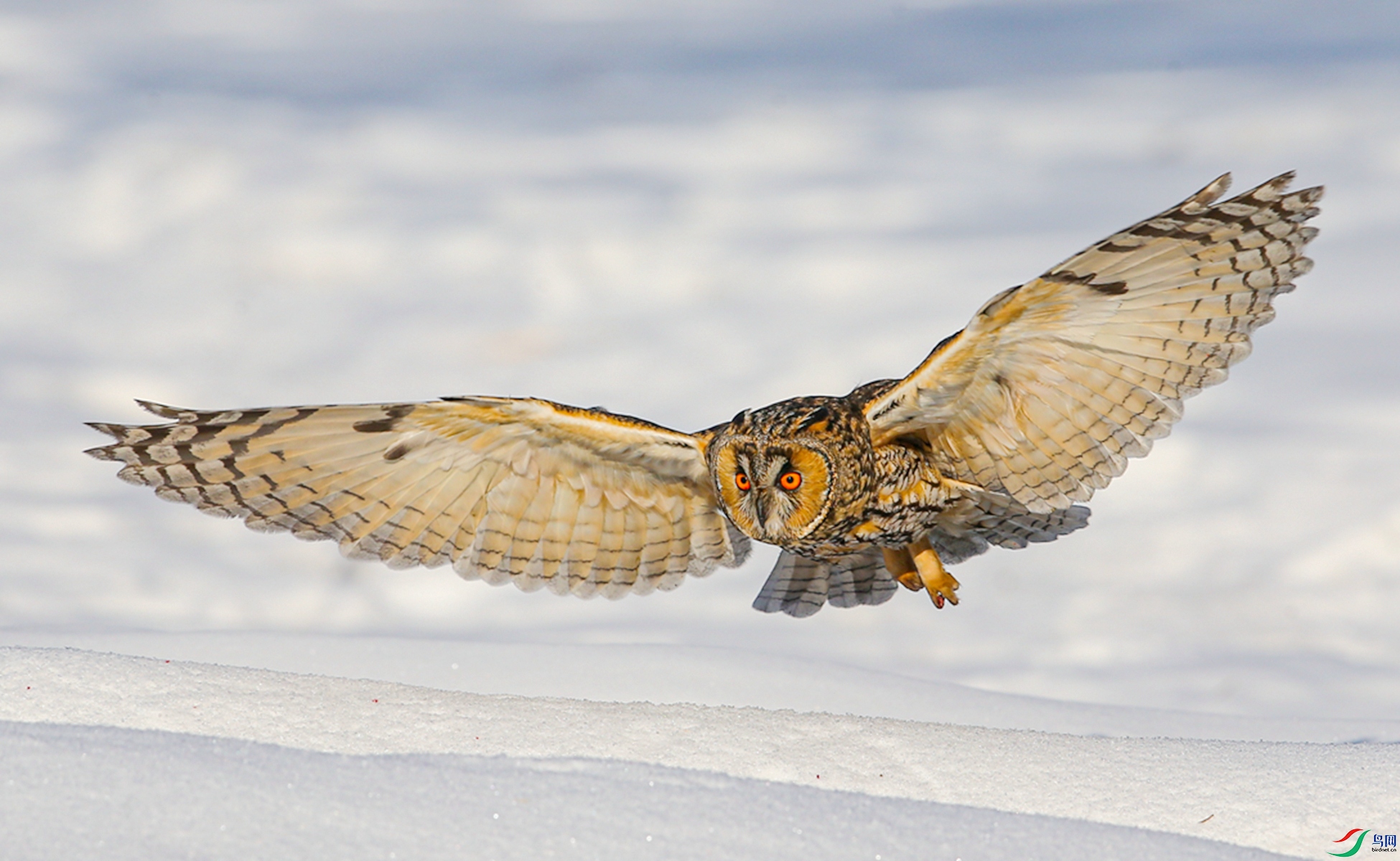 BE7W8898 - ����.JPG