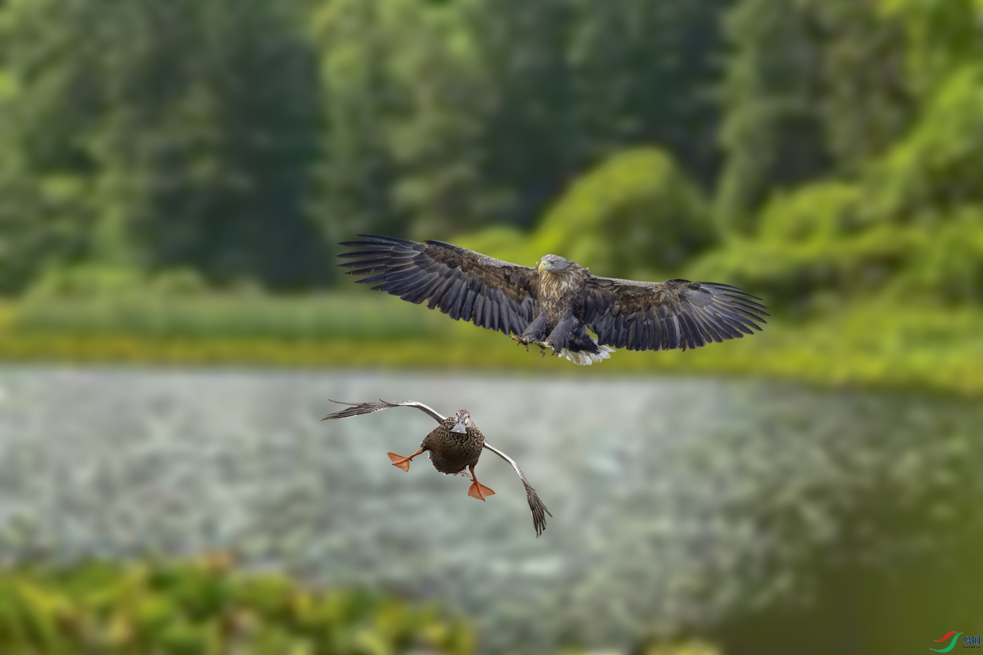 ���� 1920x500k.jpg