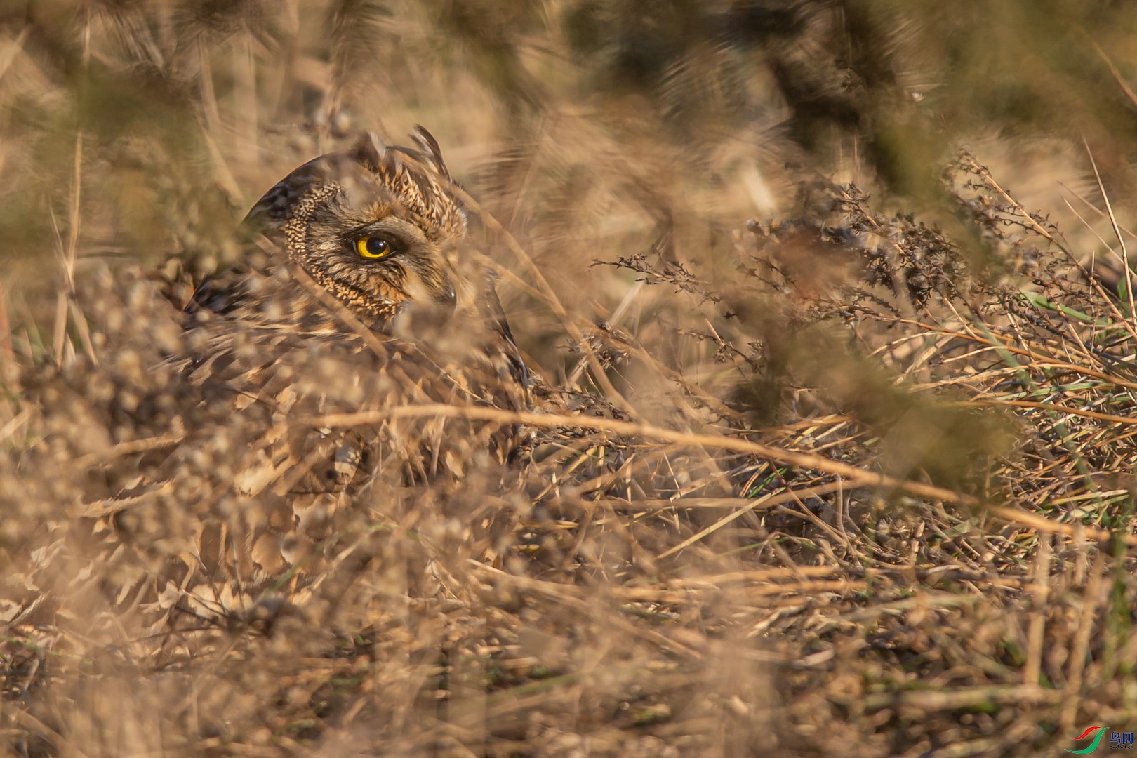 Hi~ ���������.jpg