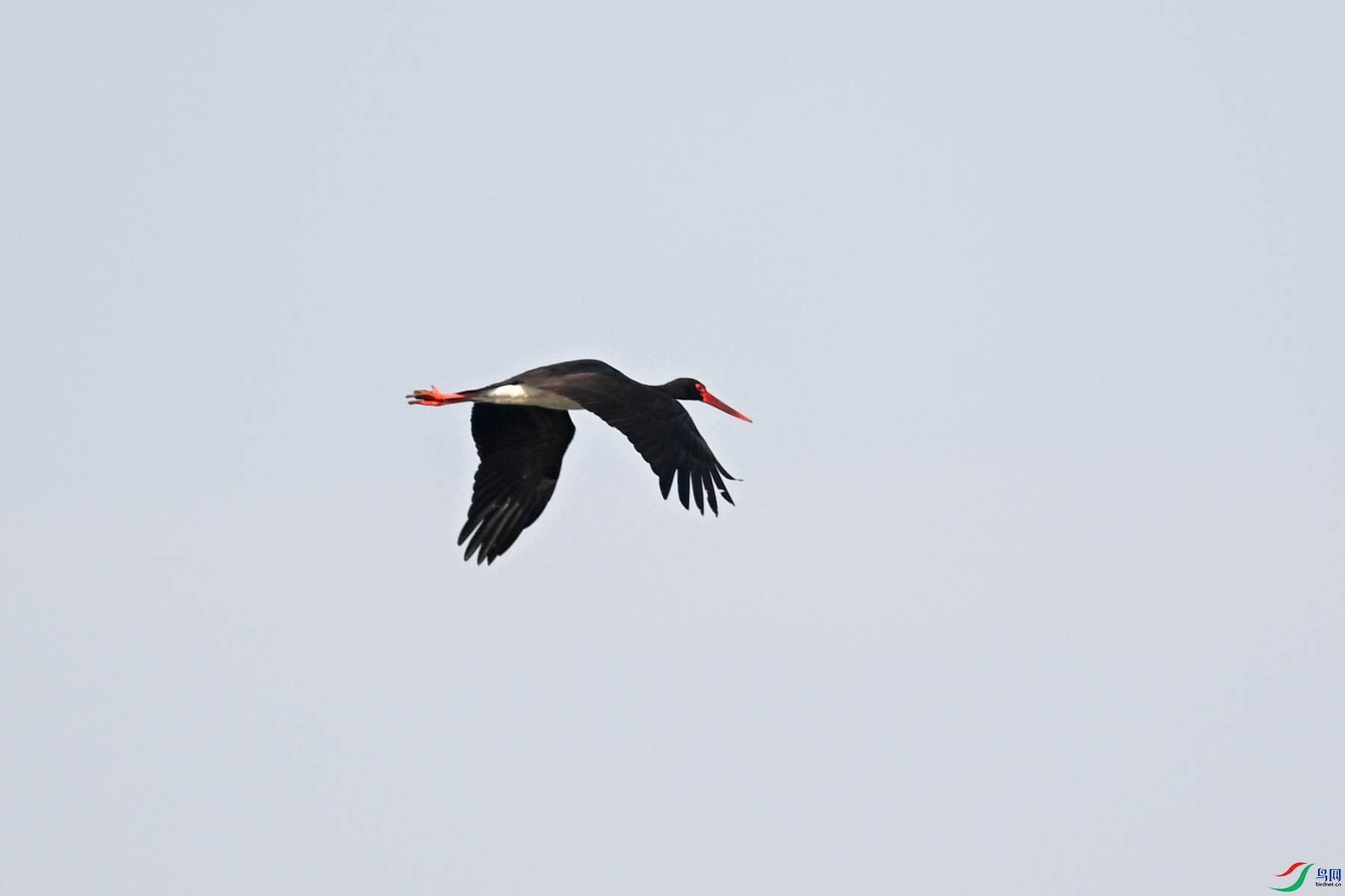 DSC_6924.jpg