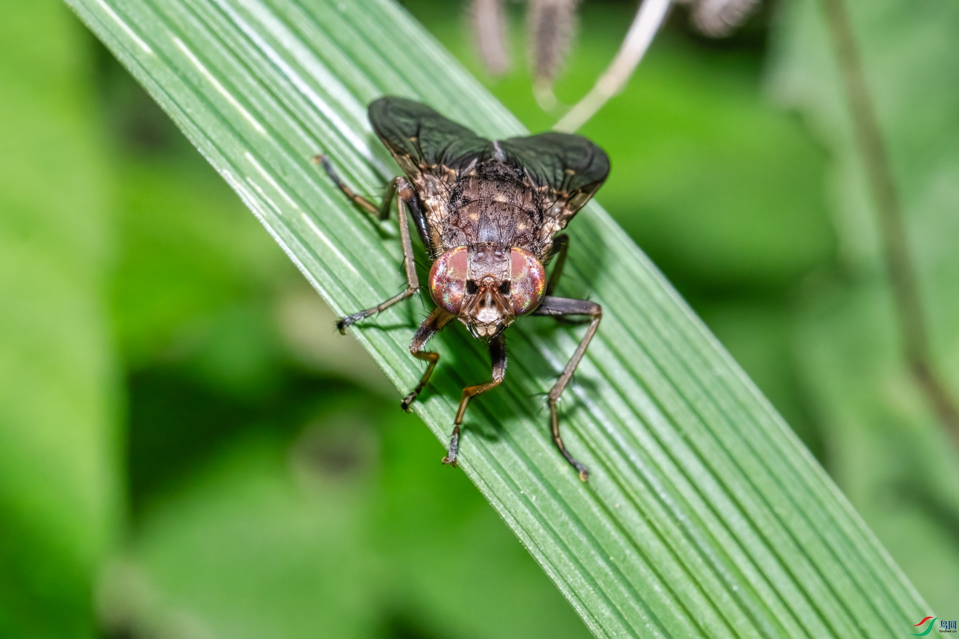 DSC_6386-1.jpg