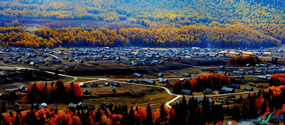 ��ľ����