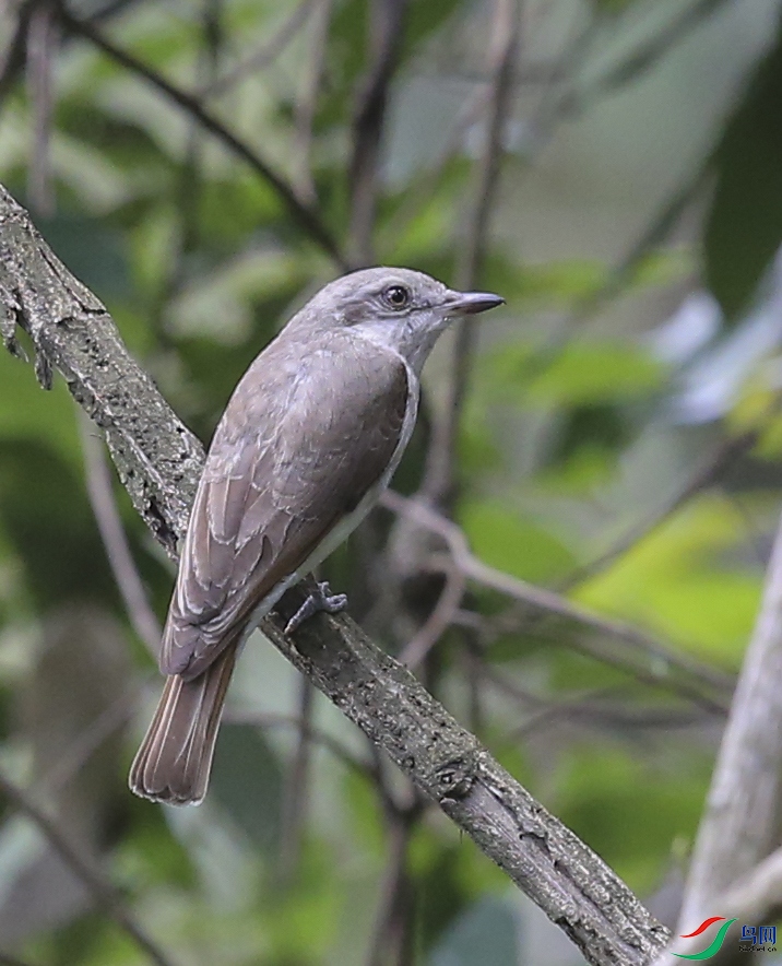 ʯ�ݴ� (11)����.jpg