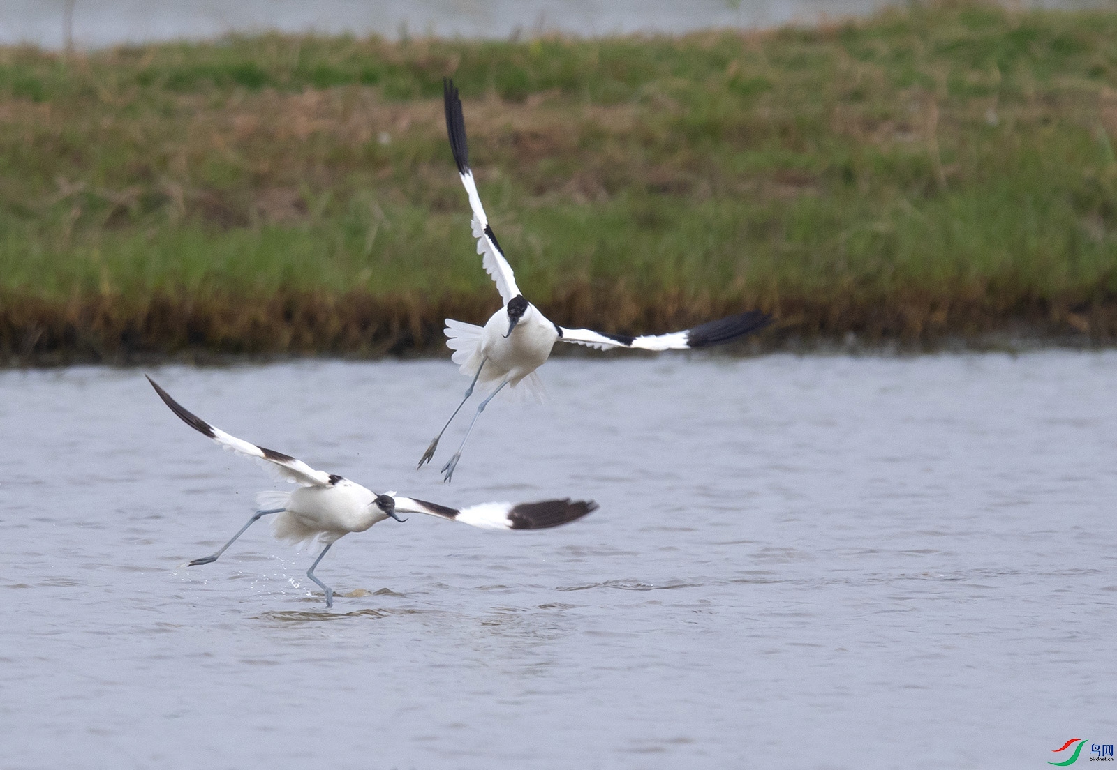 DSC_5024.jpg