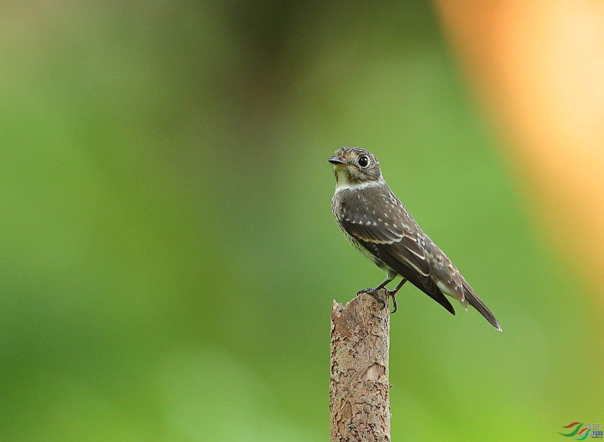 ��չ����  ��ʦ�����ڹ㶫ʡ������.jpg