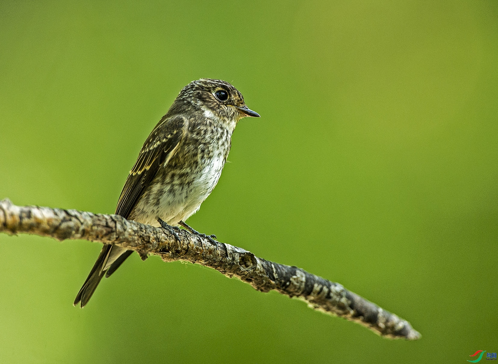 JZ����  ��ʦ����������ʡ������.jpg