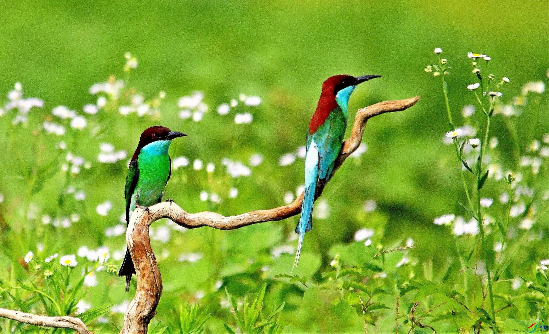 �����仢 (70).JPG