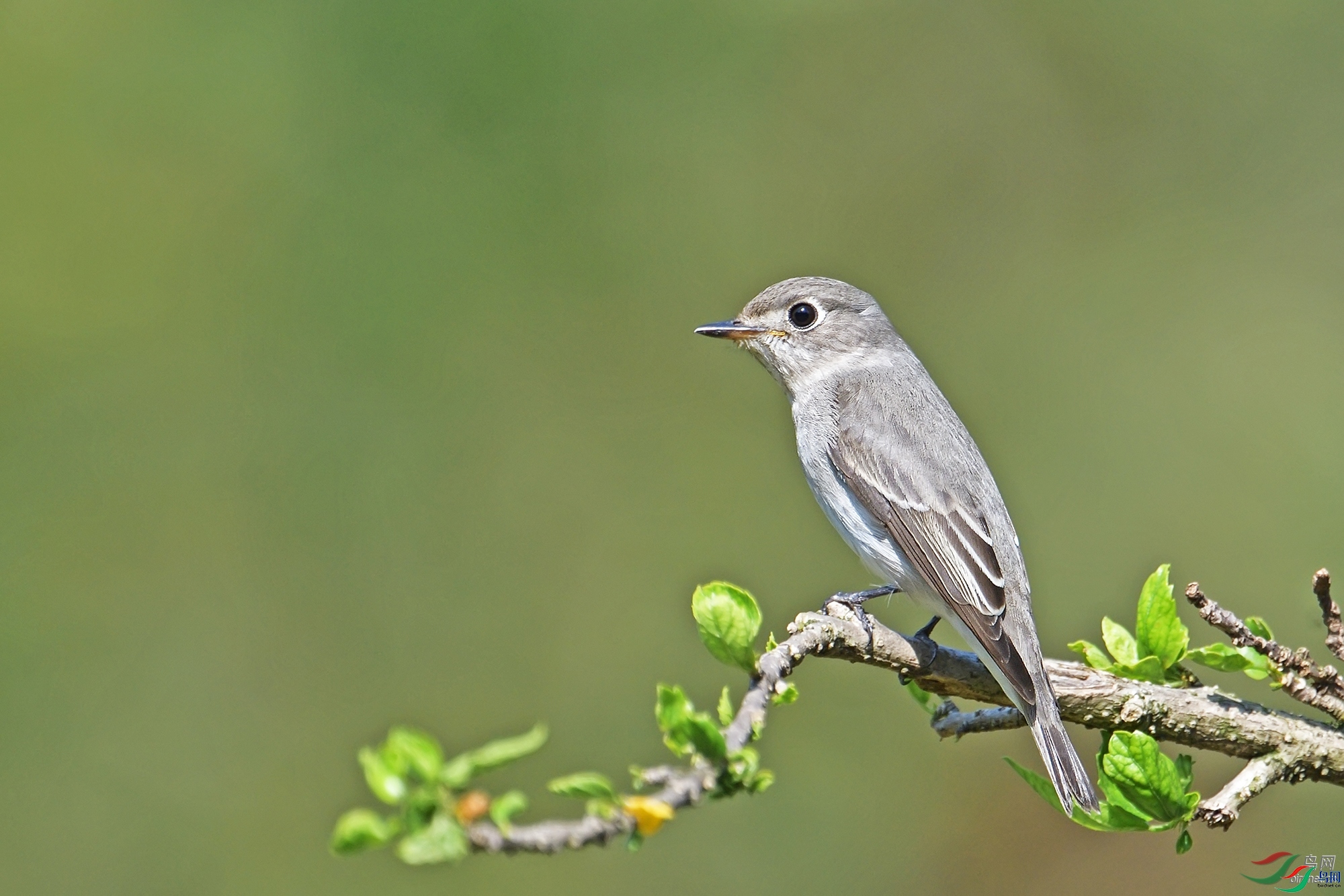 ����   ��ʦ����.jpg