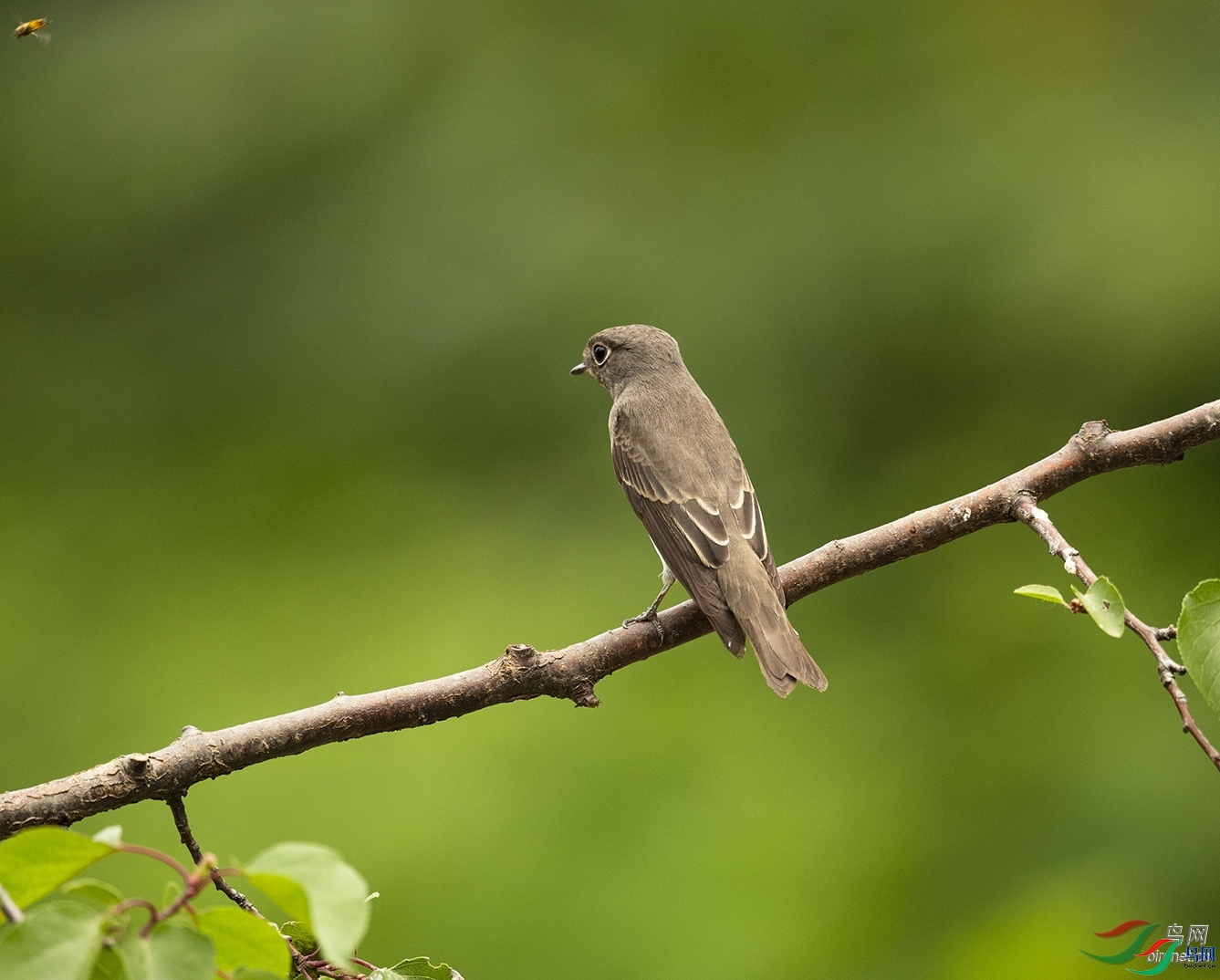 ��Ӱ����  ��ʦ������ɽ��ʡ������.jpg