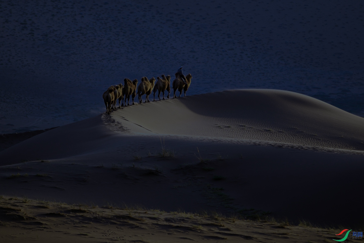 _MG_0505 ����1.jpg