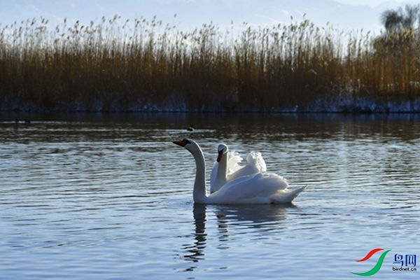 File0000079318.jpg
