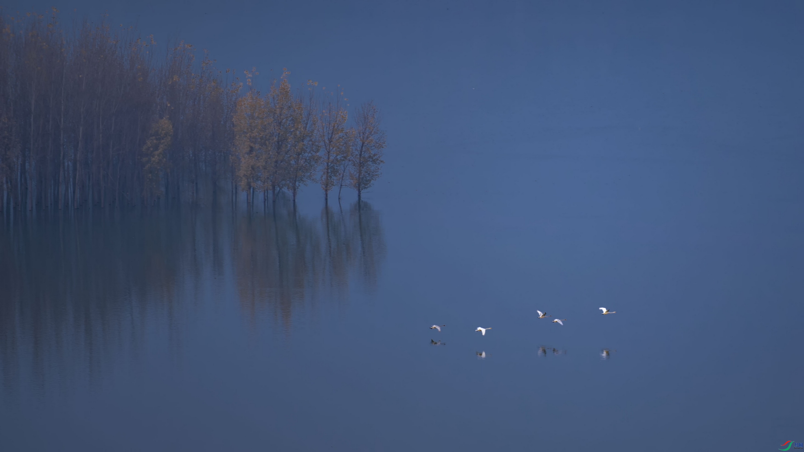 DSC_8369 ���� 2A.jpg