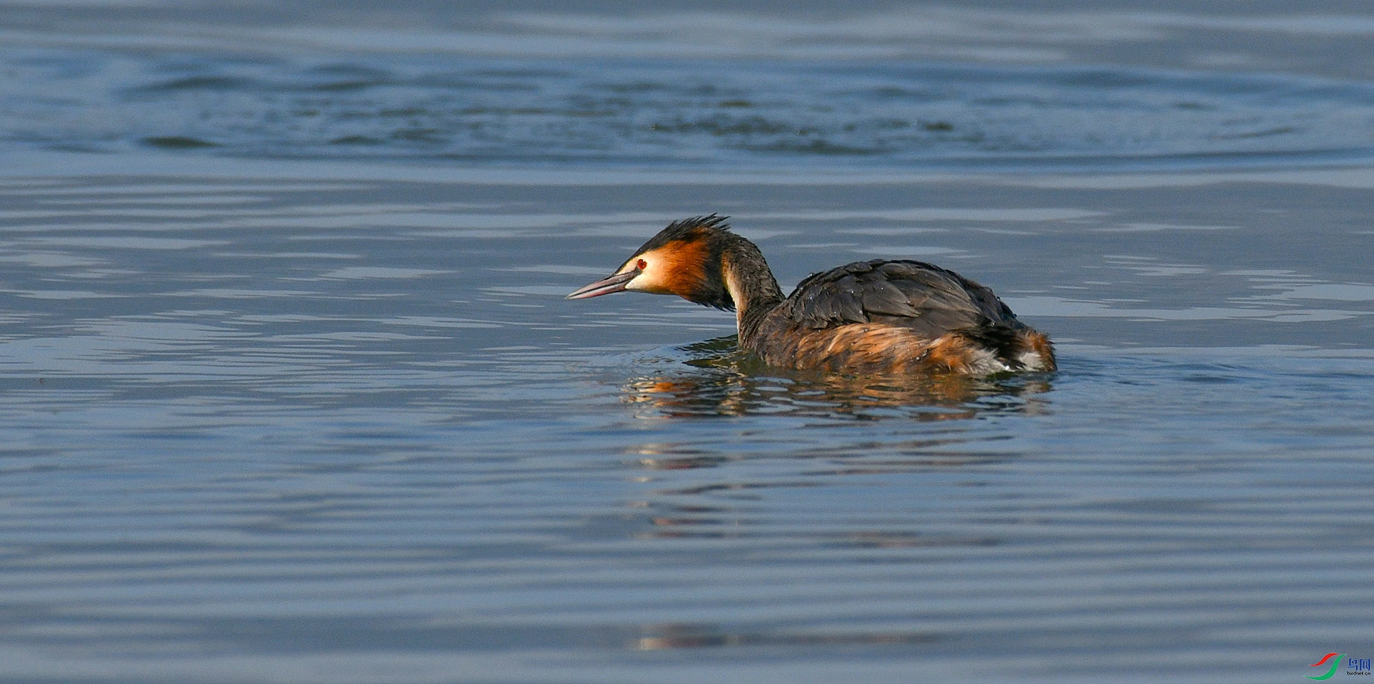 DSC_19031.JPG
