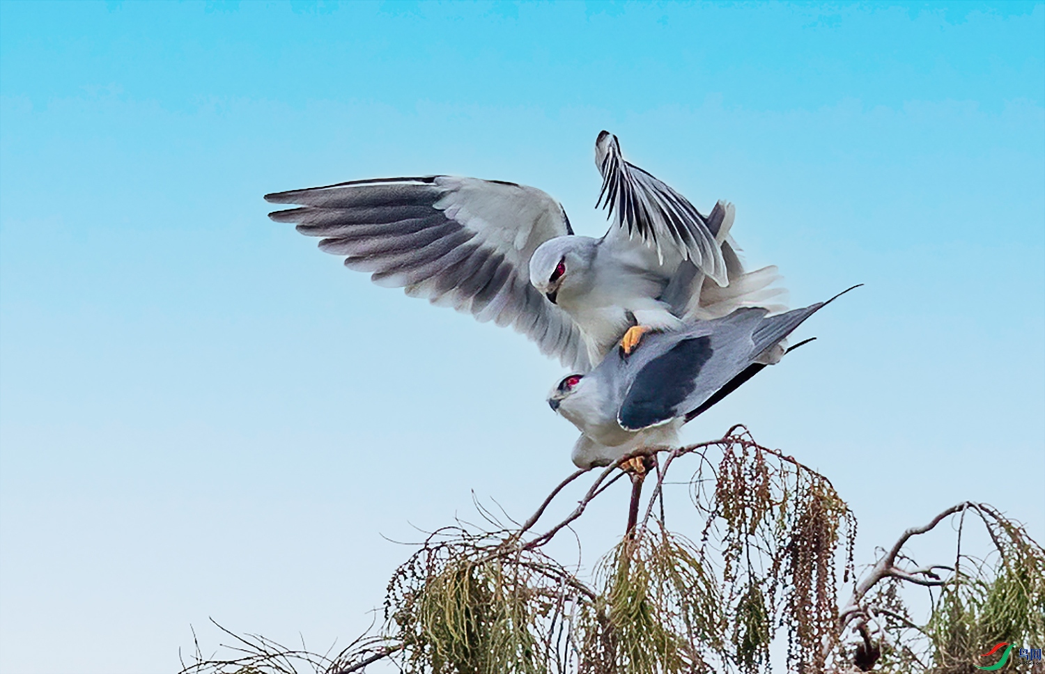 BD0I9283-1 ����.jpg