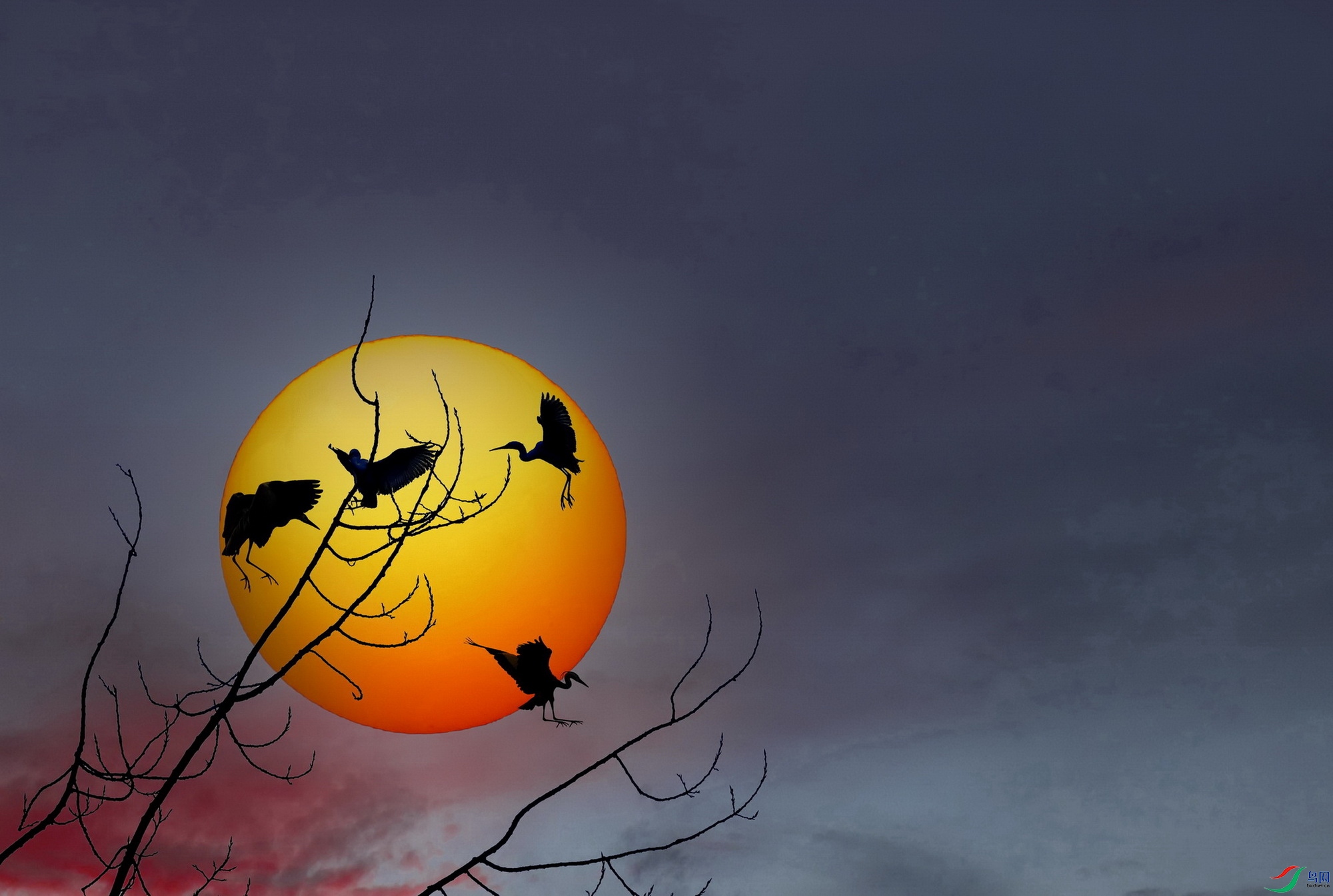 ̫��-��-2 ����.jpg