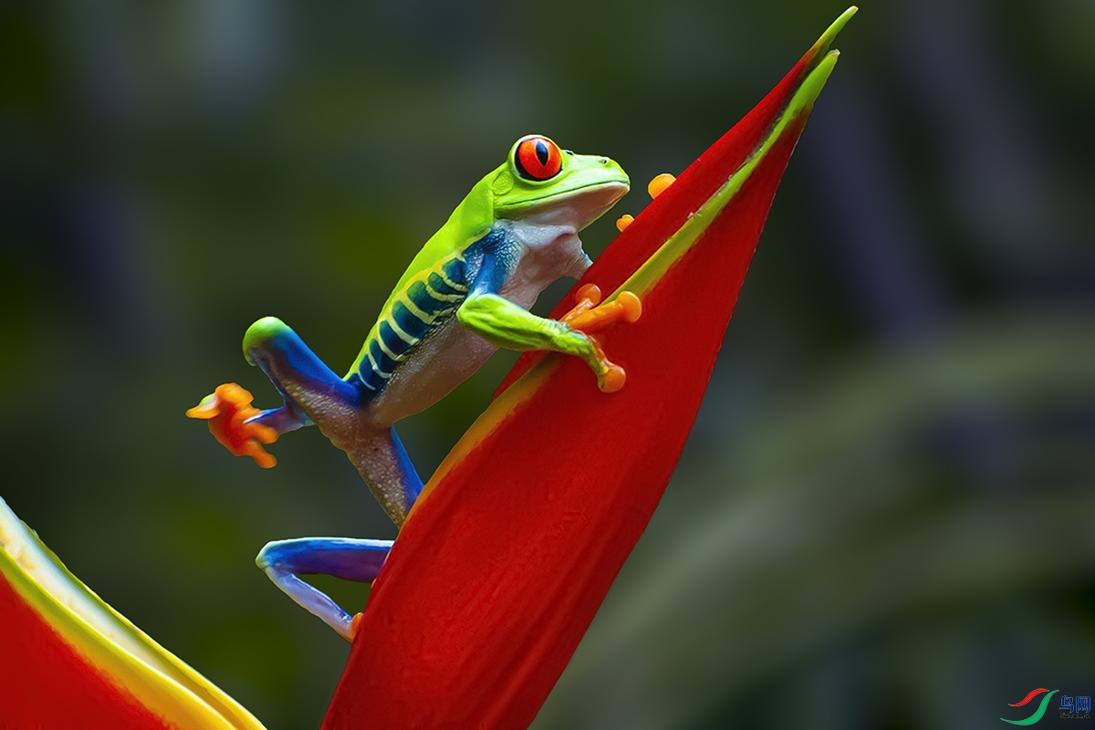 DSC_0169 ����.jpg