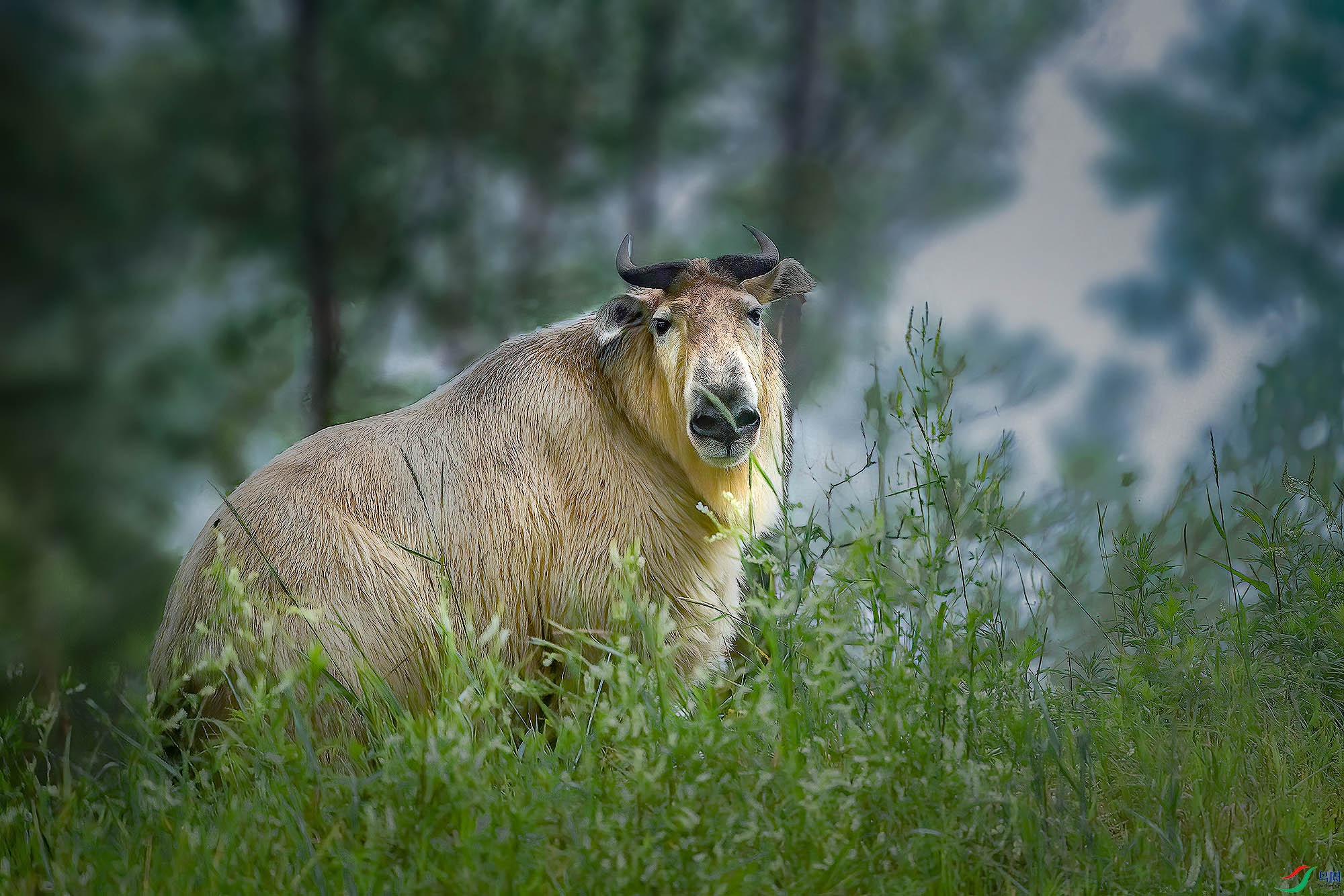 _DSC0548a-���� ����.jpg