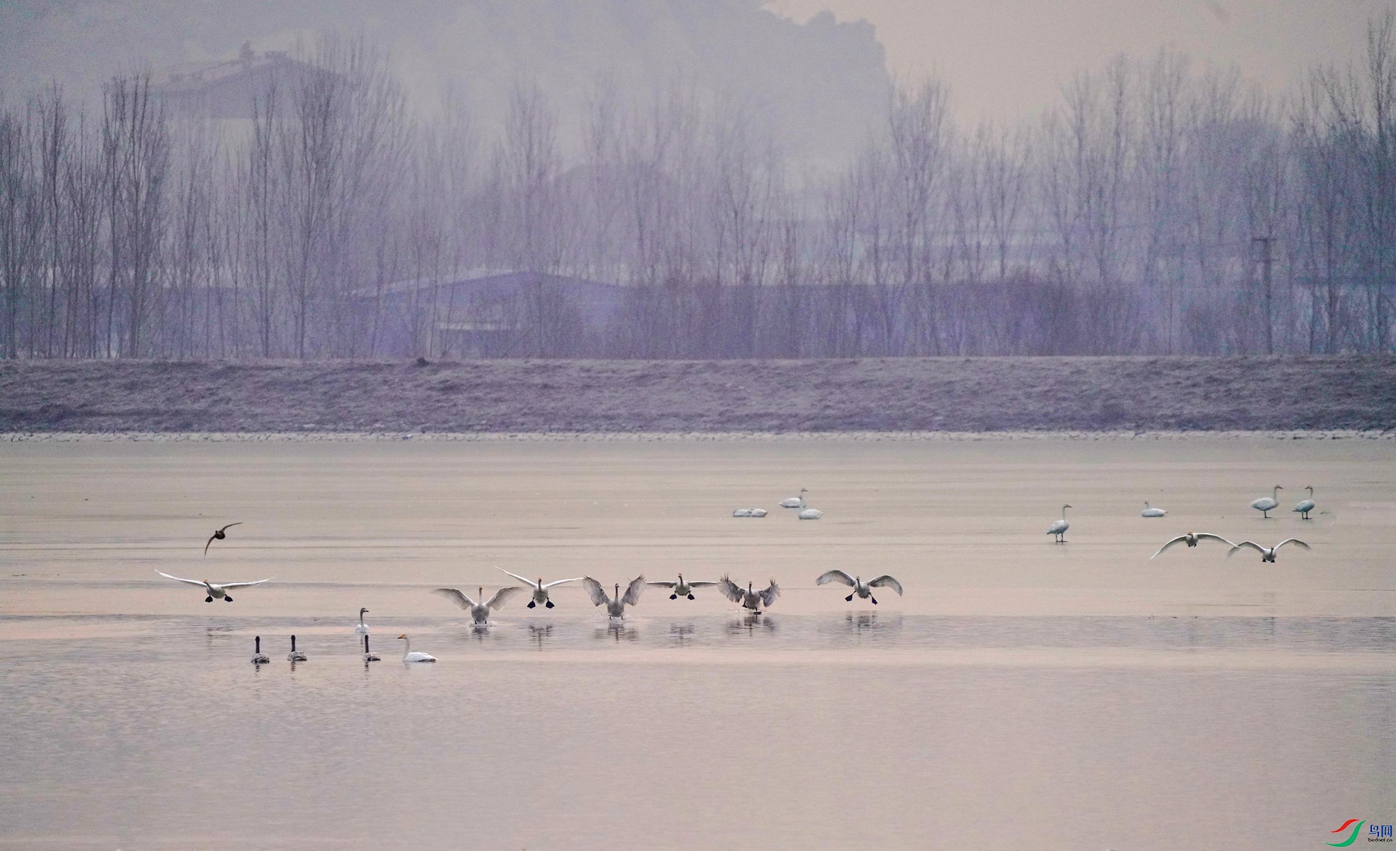 1 DSC04789,_����.jpg