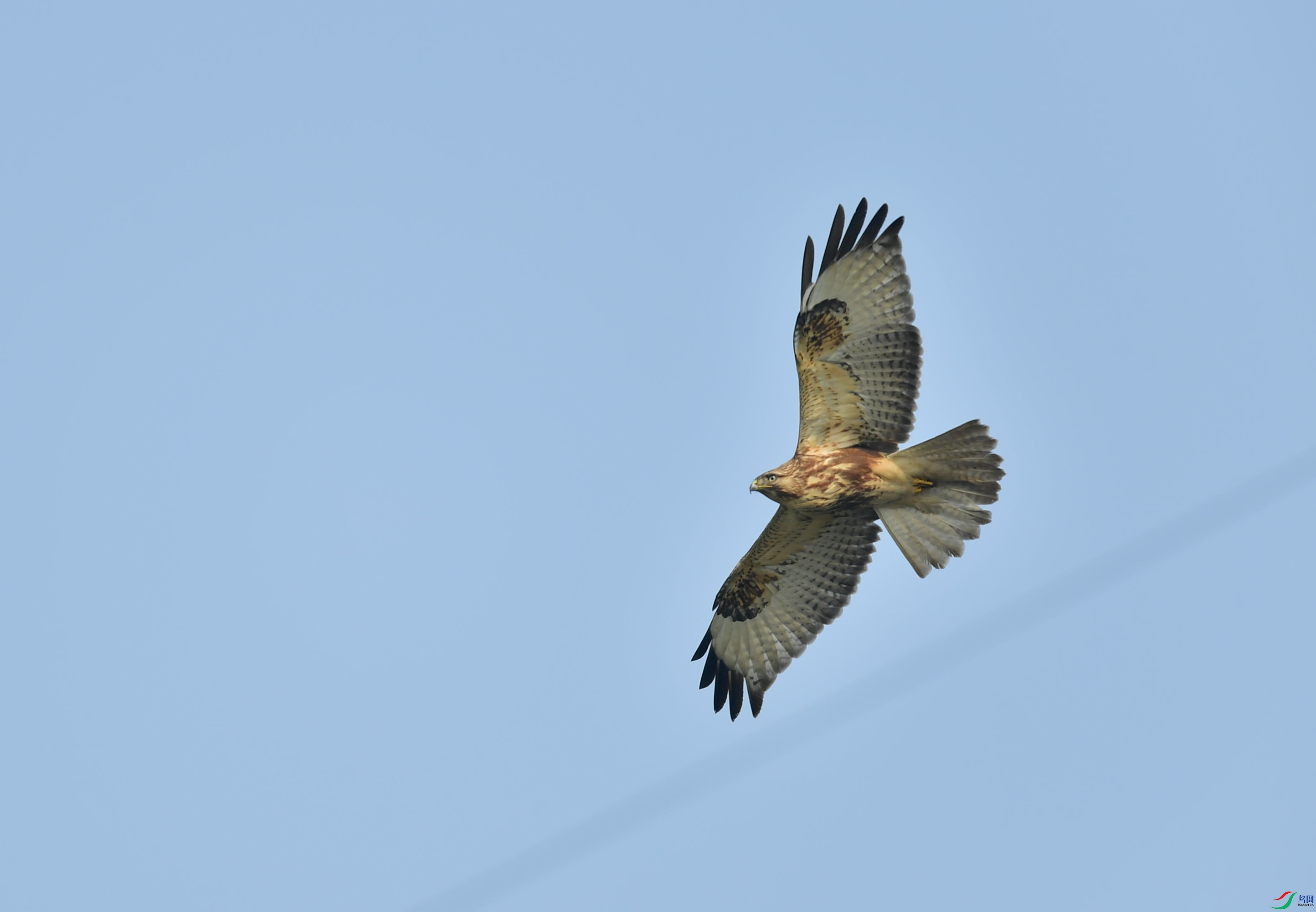 DSC_5360_����.jpg