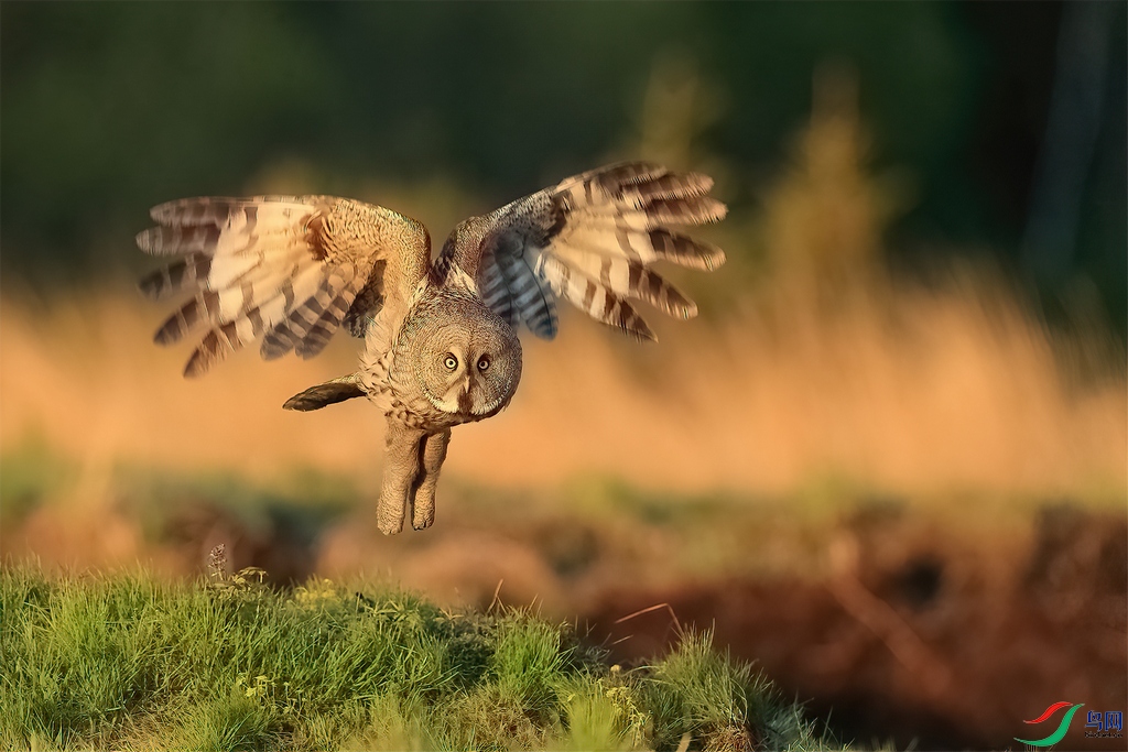 �����^1 (3).jpg