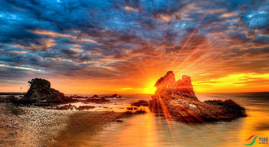 �����ճ�.jpg