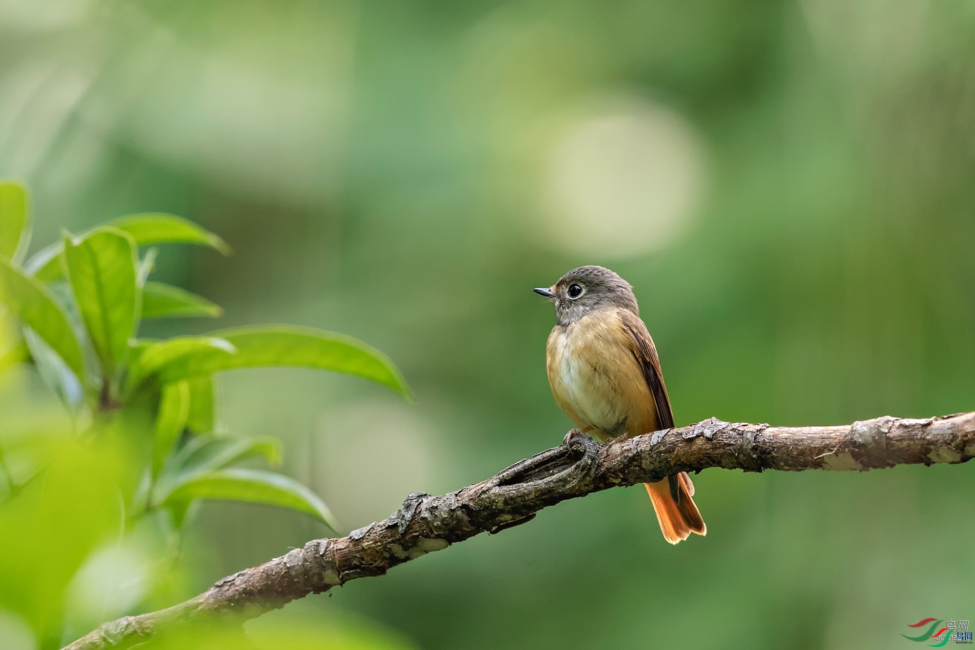 ��ֵ���  ��ʦ������������.jpg