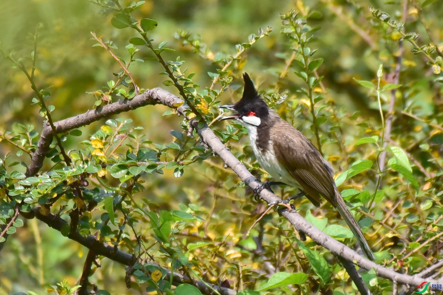 DSC_8169.JPG