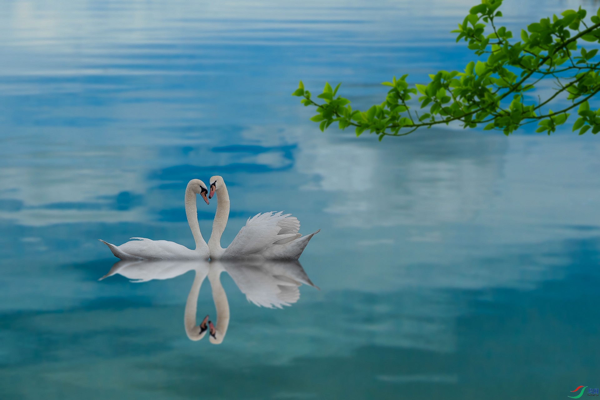 ƽ�� 1920x500k.jpg