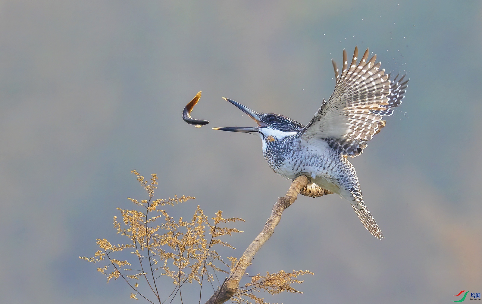 AI8I3481 ����.jpg