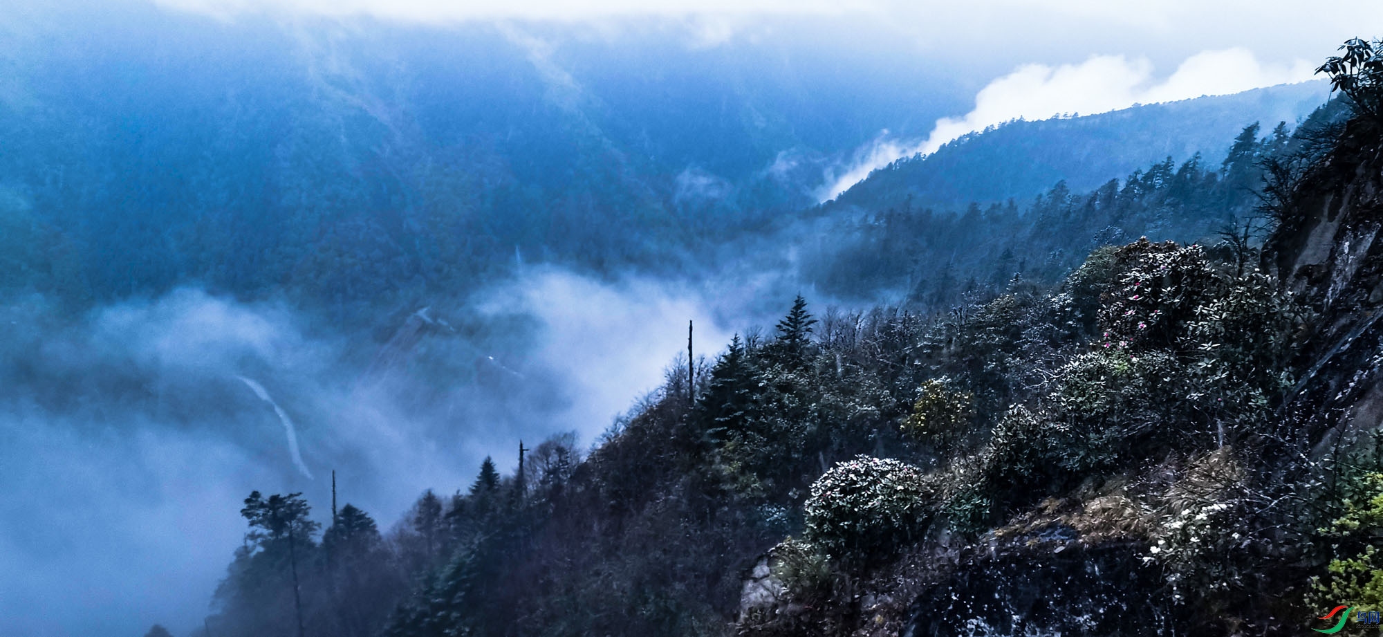 ����ɽ��ѩ