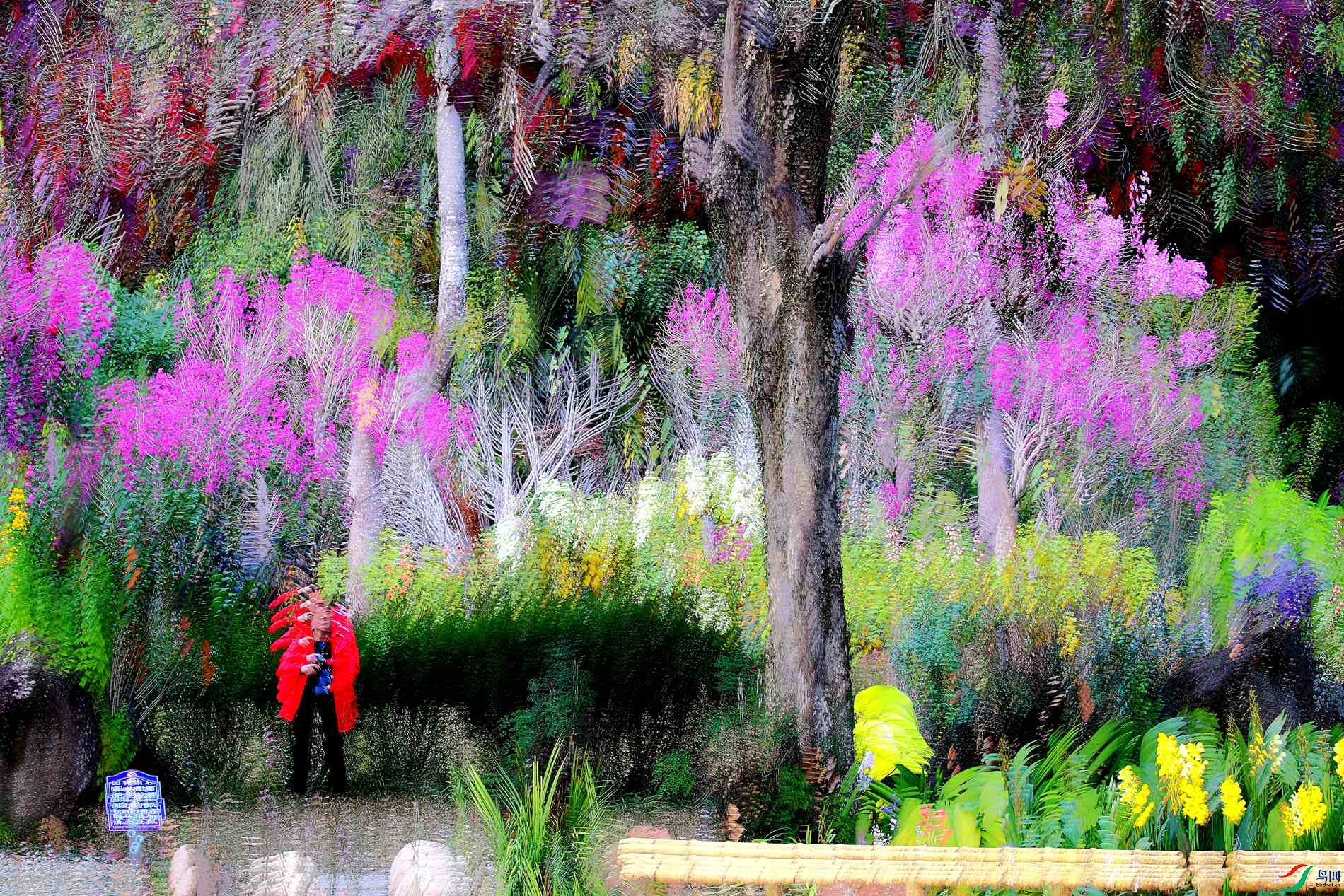 ��ʰ�쵣������ع⣩