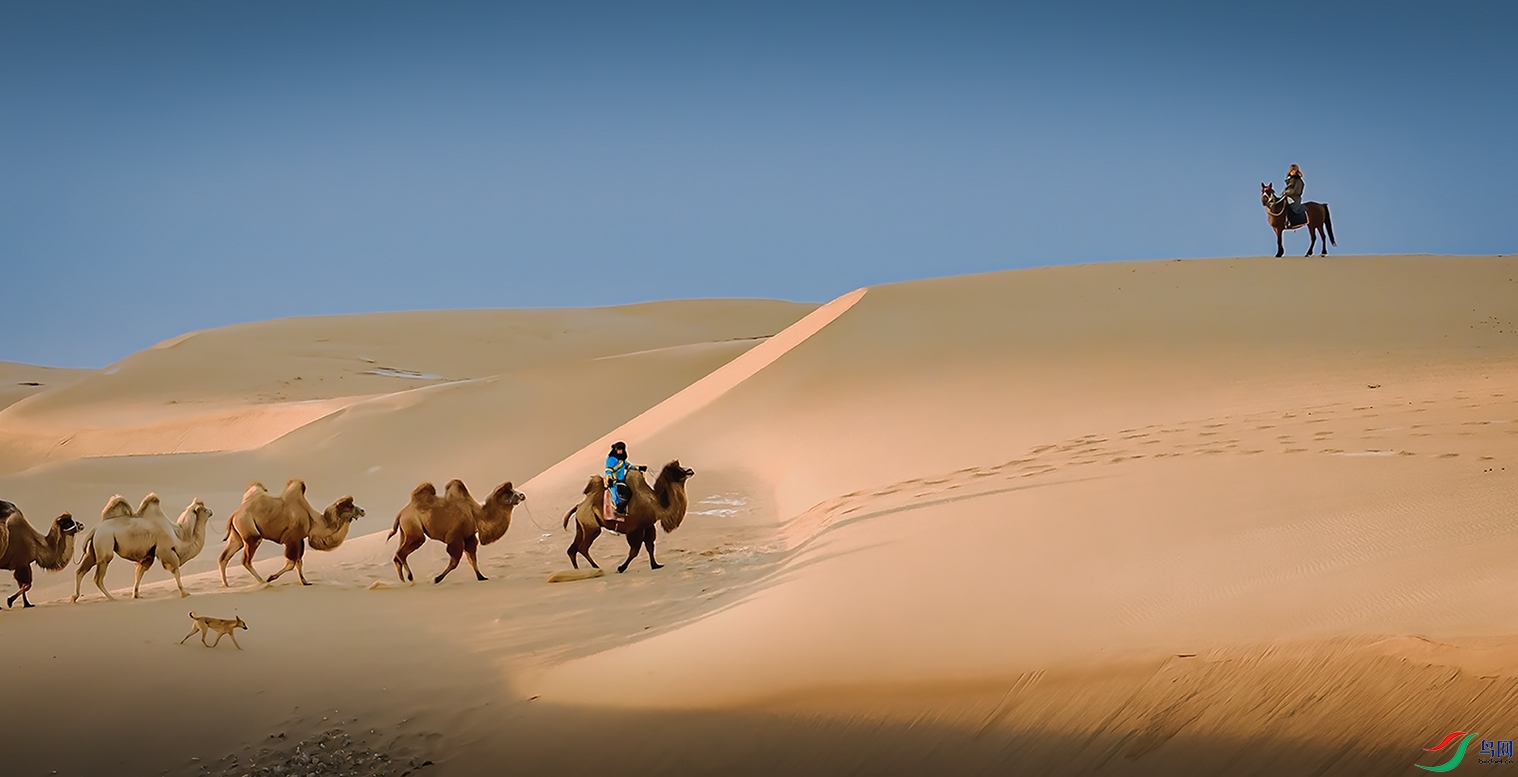 ���������ɹ������챦��ͼ��